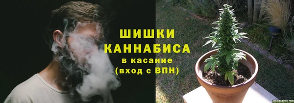 хмурый Горняк