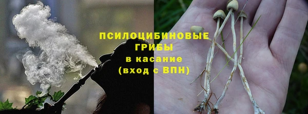 тгк Горно-Алтайск