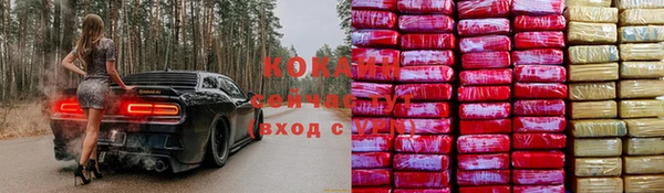 хмурый Горняк