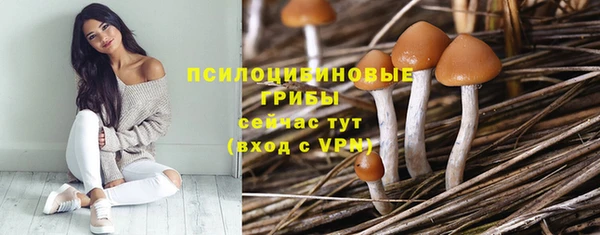 тгк Горно-Алтайск