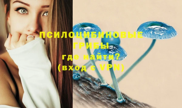 хмурый Горняк