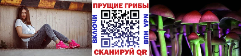 Псилоцибиновые грибы Cubensis  даркнет сайт  Карабаш 